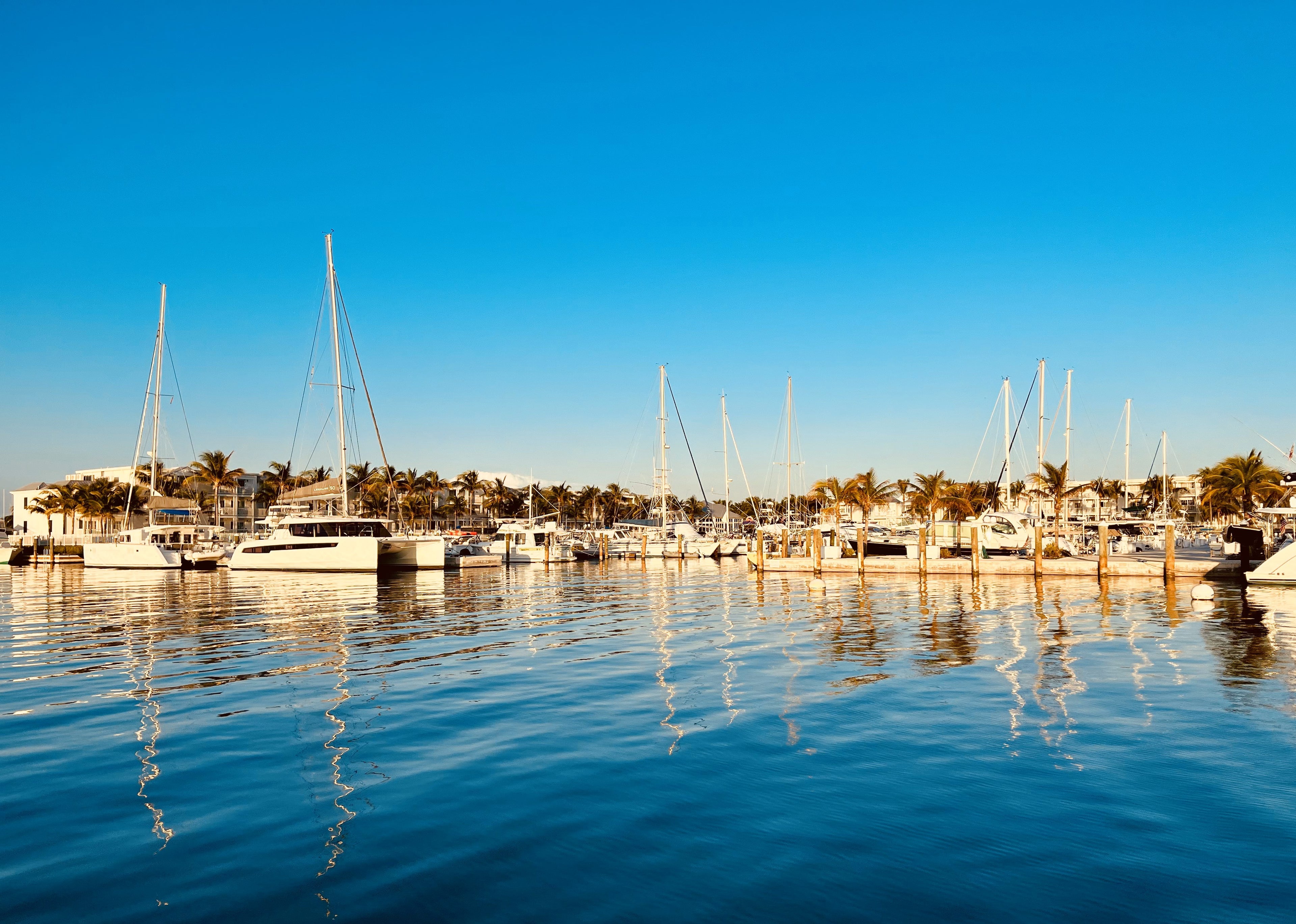 Marina Image - Boat Cleaning and Detail